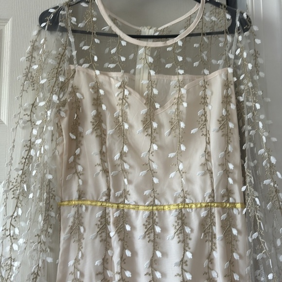 Elegant Cream Dress with Sheer Floral Overlay - Picture 2 of 5